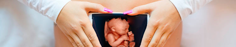 3D УЗИ беременности в Химках
